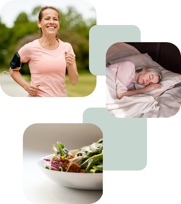 Collage zirkadiane Uhr